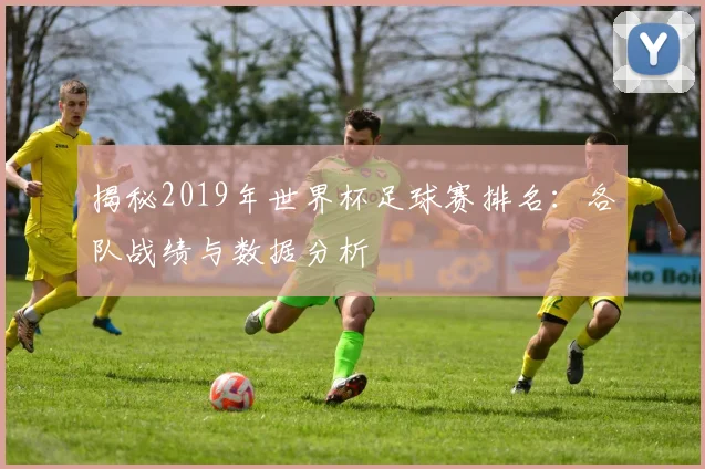 揭秘2019年世界杯足球赛排名：各队战绩与数据分析