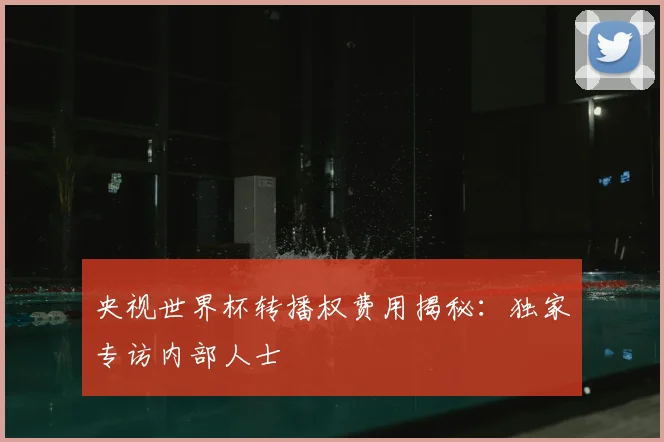央视世界杯转播权费用揭秘：独家专访内部人士