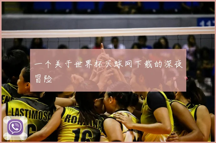 一个关于世界杯买球网下载的深夜冒险