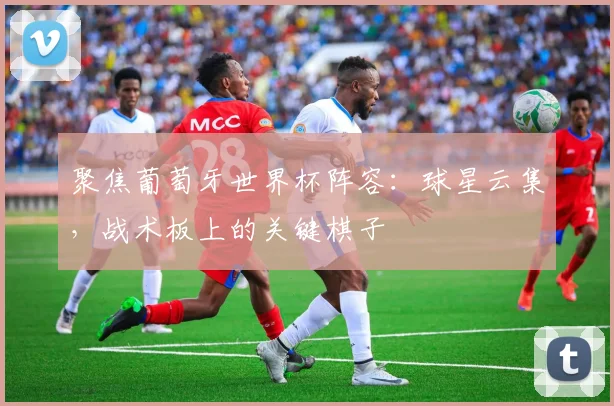 聚焦葡萄牙世界杯阵容：球星云集，战术板上的关键棋子