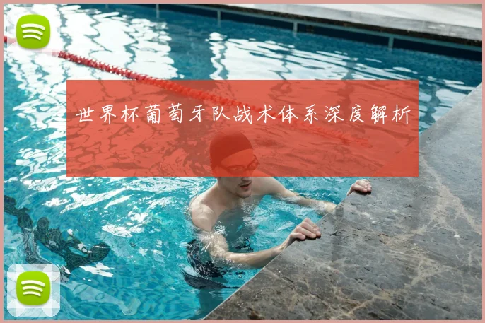 世界杯葡萄牙队战术体系深度解析