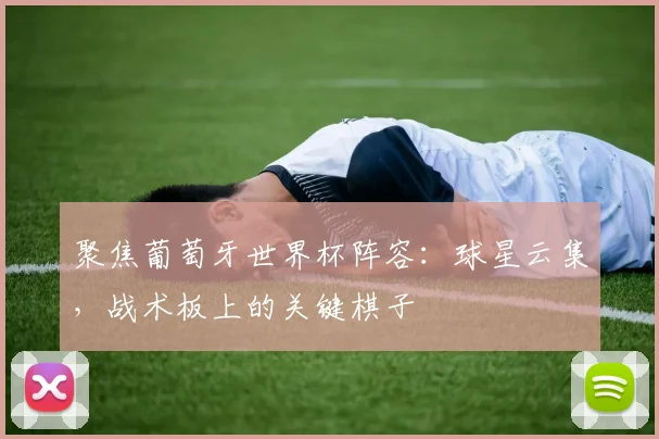 聚焦葡萄牙世界杯阵容：球星云集，战术板上的关键棋子